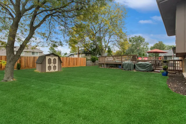 a view of a house with backyard and a tree