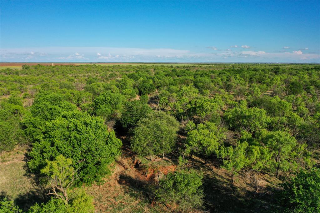 Fm Fm 618th Haskell, TX 79521 - Photo 12 of 21