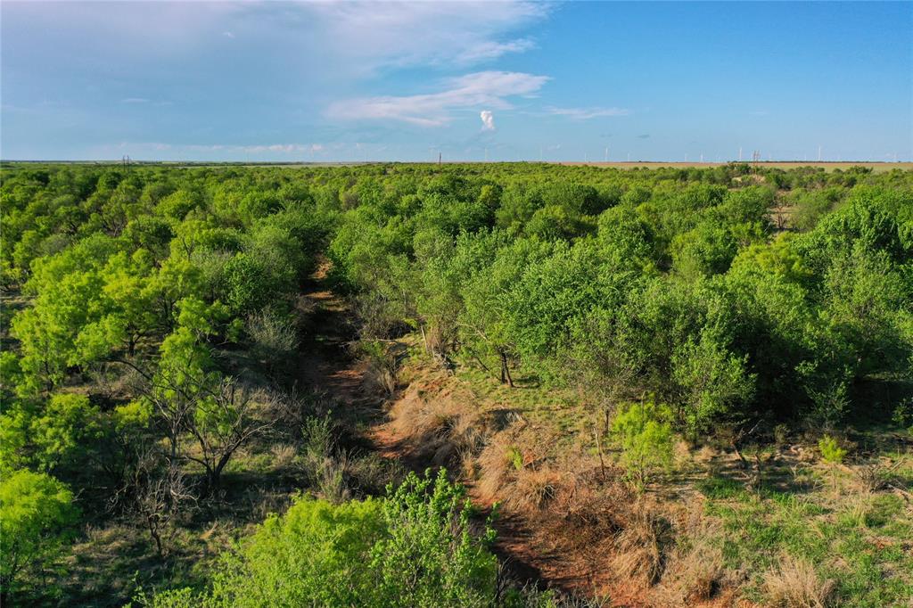 Fm Fm 618th Haskell, TX 79521 - Photo 20 of 21