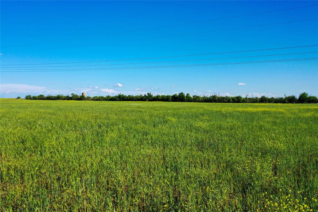 Fm Fm 618th Haskell, TX 79521 - Photo 9 of 21