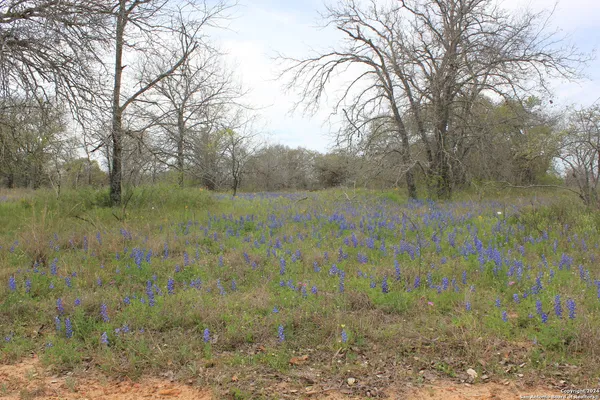 $249,000 | 818 Encino Way, Natalia, TX 78059