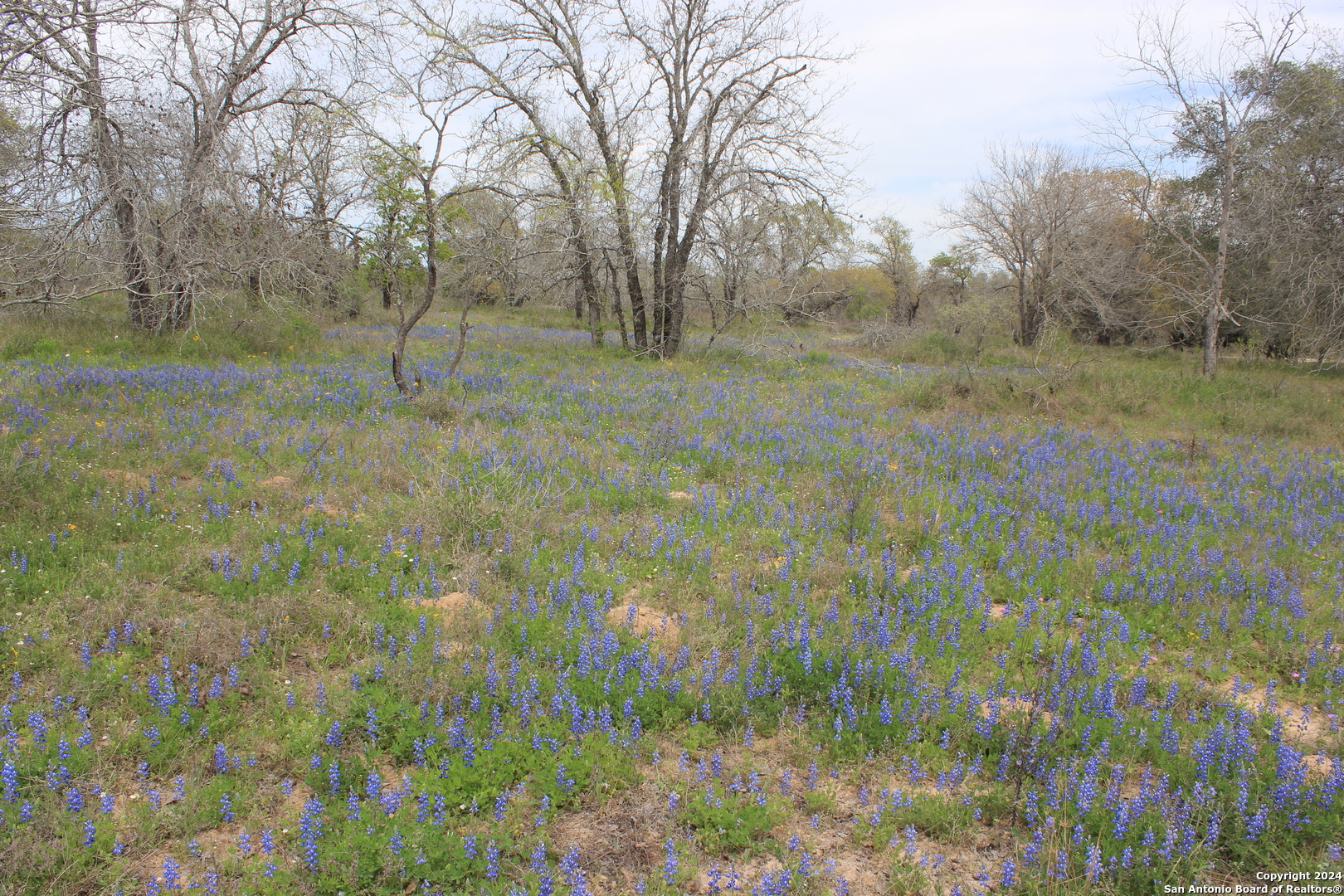 818 Encino Way Natalia, TX 78059 - Photo 13 of 23