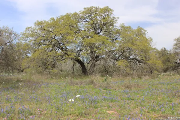 $249,000 | 818 Encino Way, Natalia, TX 78059