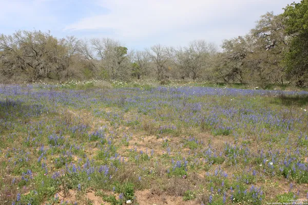 $249,000 | 818 Encino Way, Natalia, TX 78059