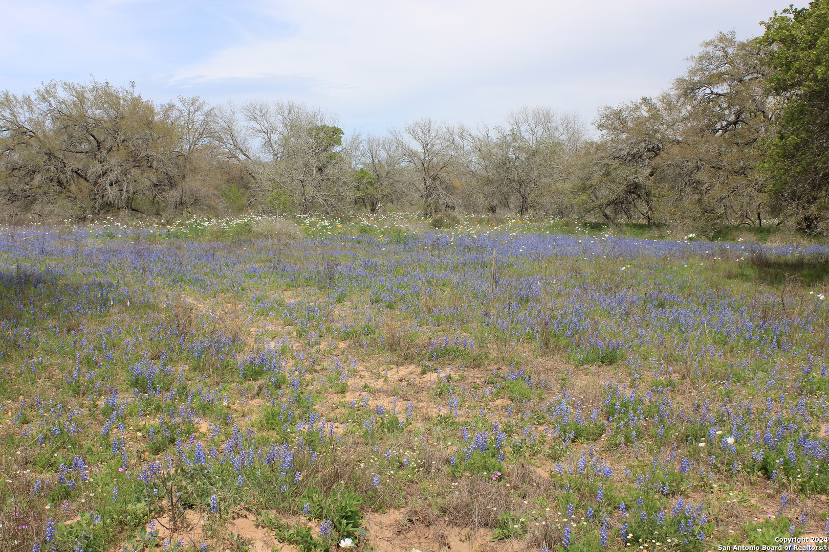 818 Encino Way Natalia, TX 78059 - Photo 15 of 23