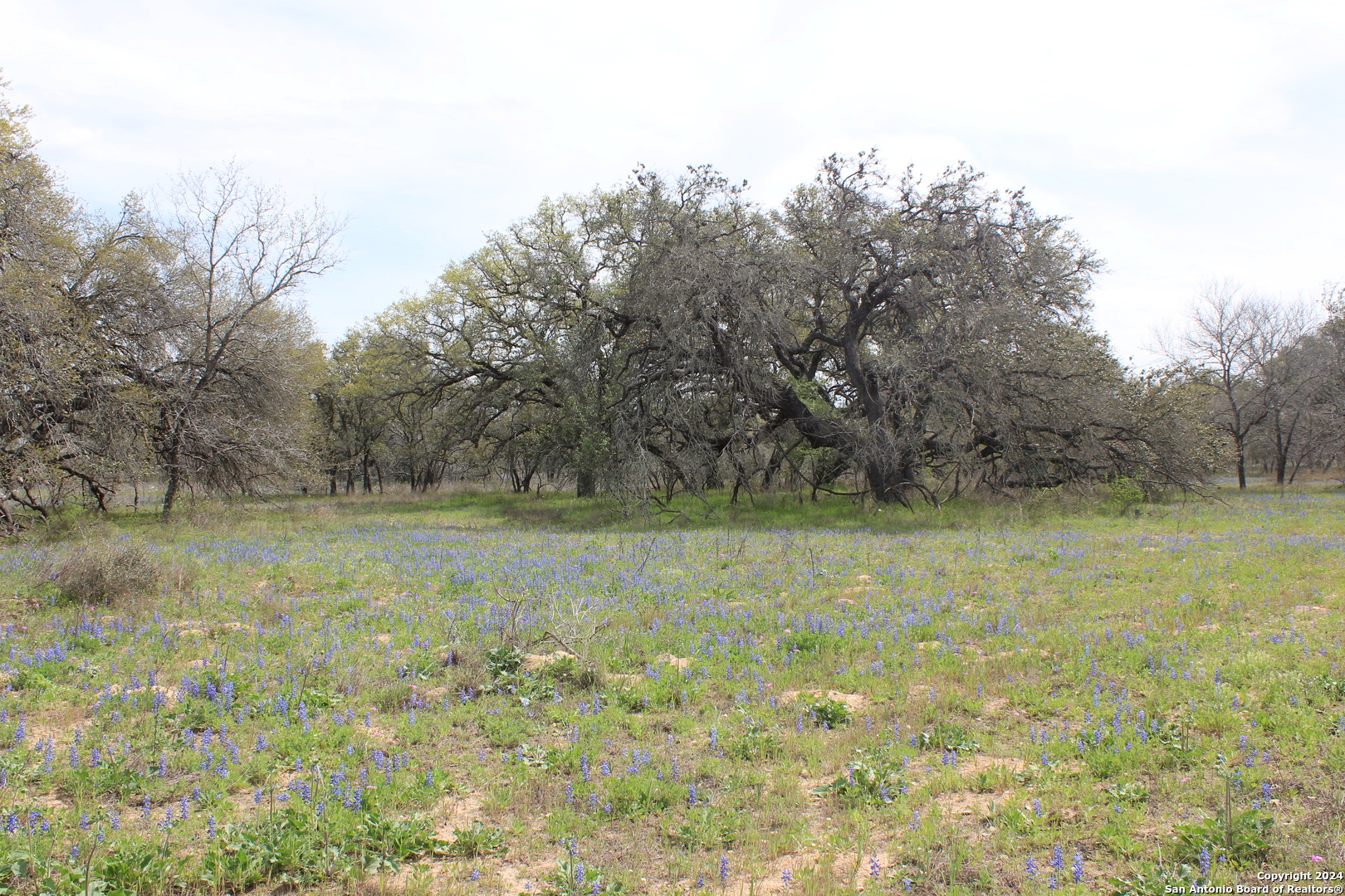 818 Encino Way Natalia, TX 78059 - Photo 16 of 23