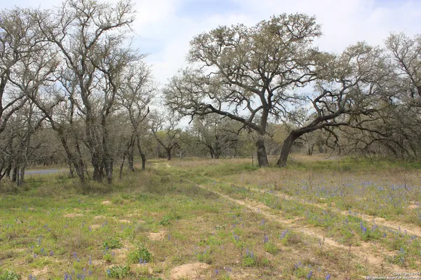 $249,000 | 818 Encino Way, Natalia, TX 78059