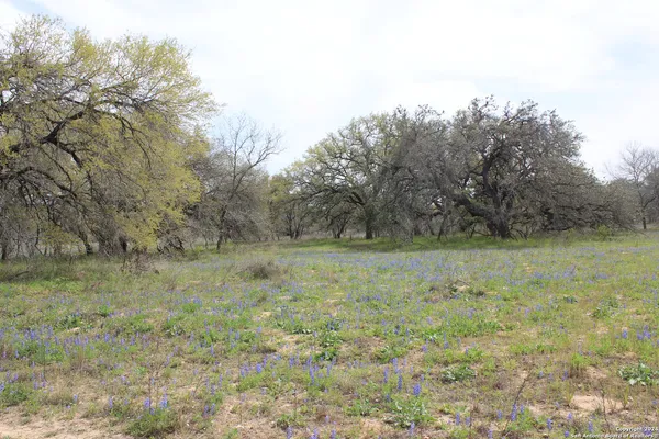 $249,000 | 818 Encino Way, Natalia, TX 78059