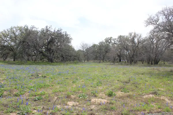 $249,000 | 818 Encino Way, Natalia, TX 78059