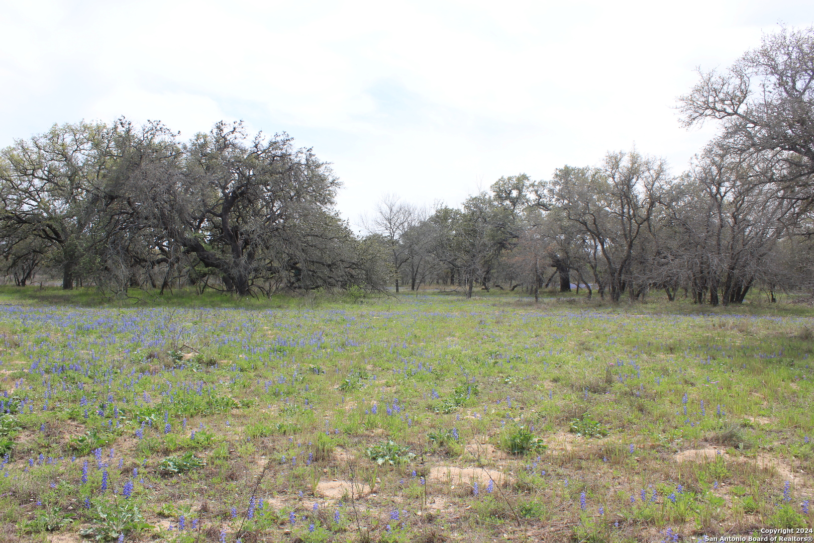 818 Encino Way Natalia, TX 78059 - Photo 19 of 23