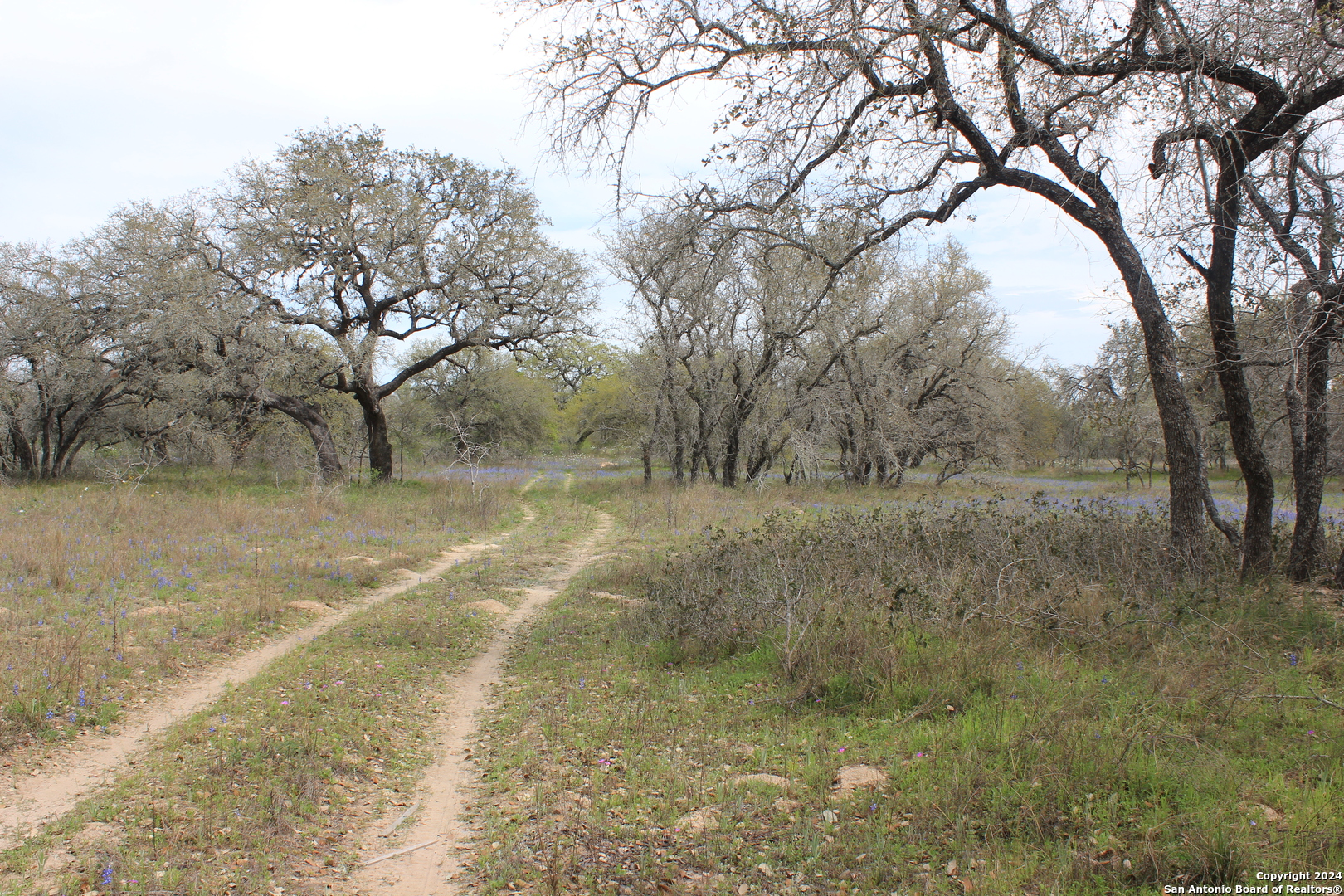 818 Encino Way Natalia, TX 78059 - Photo 20 of 23