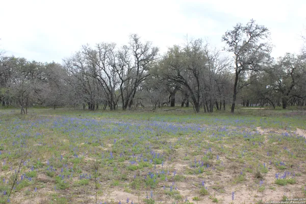 $249,000 | 818 Encino Way, Natalia, TX 78059