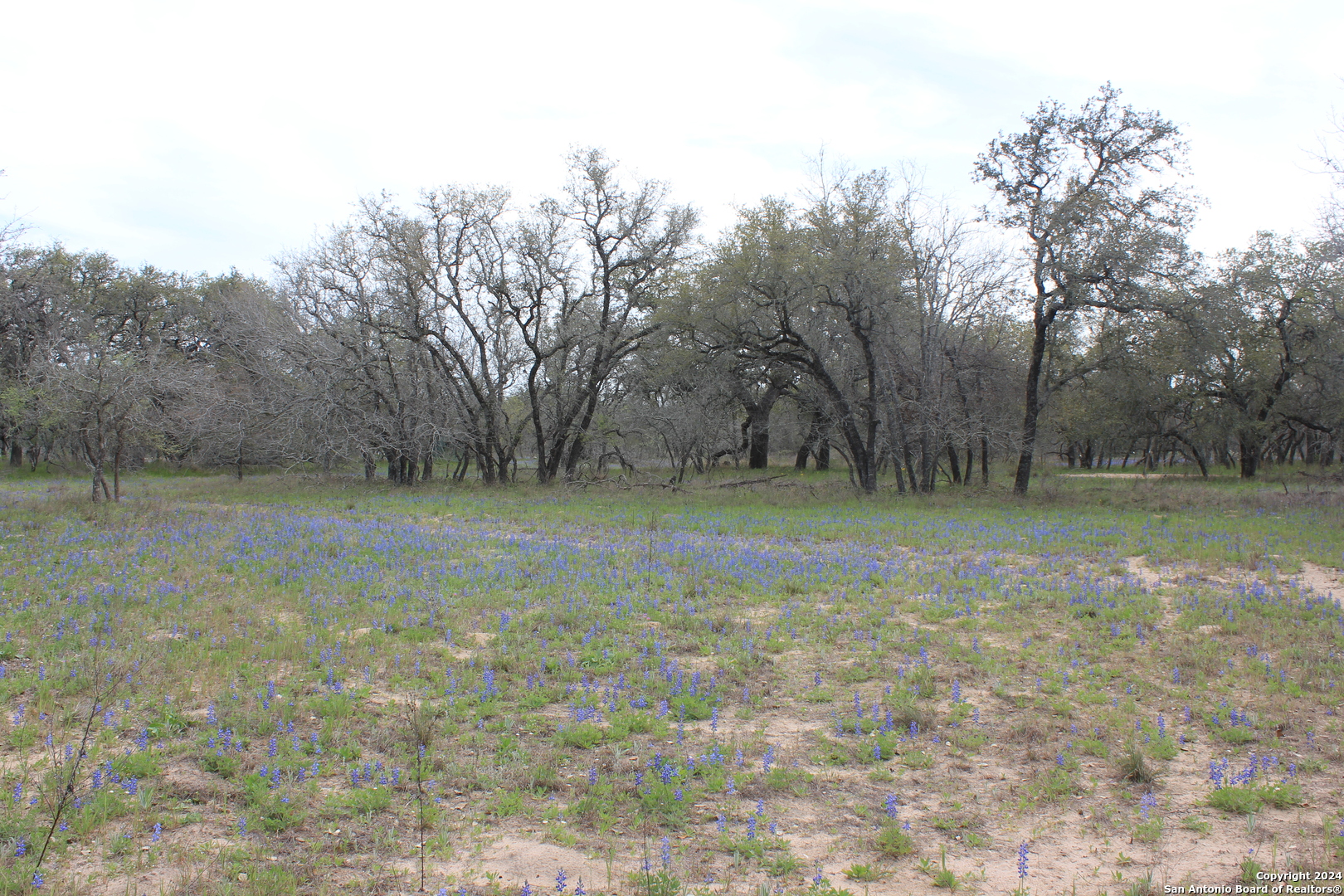 818 Encino Way Natalia, TX 78059 - Photo 21 of 23