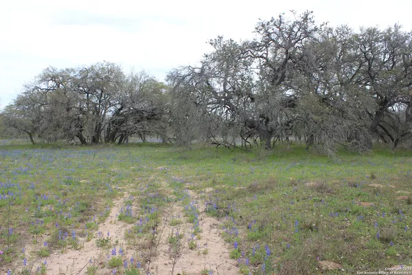 $249,000 | 818 Encino Way, Natalia, TX 78059