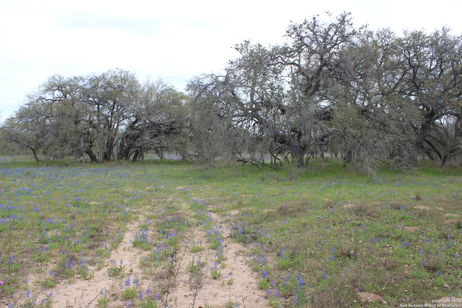 818 Encino Way Natalia, TX 78059 - Photo 22 of 23