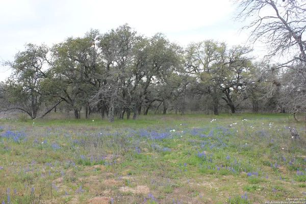 $249,000 | 818 Encino Way, Natalia, TX 78059