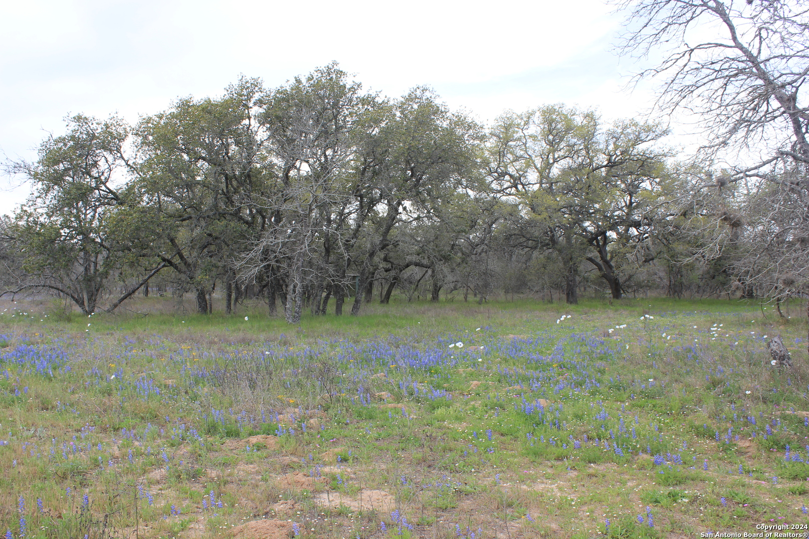 818 Encino Way Natalia, TX 78059 - Photo 23 of 23