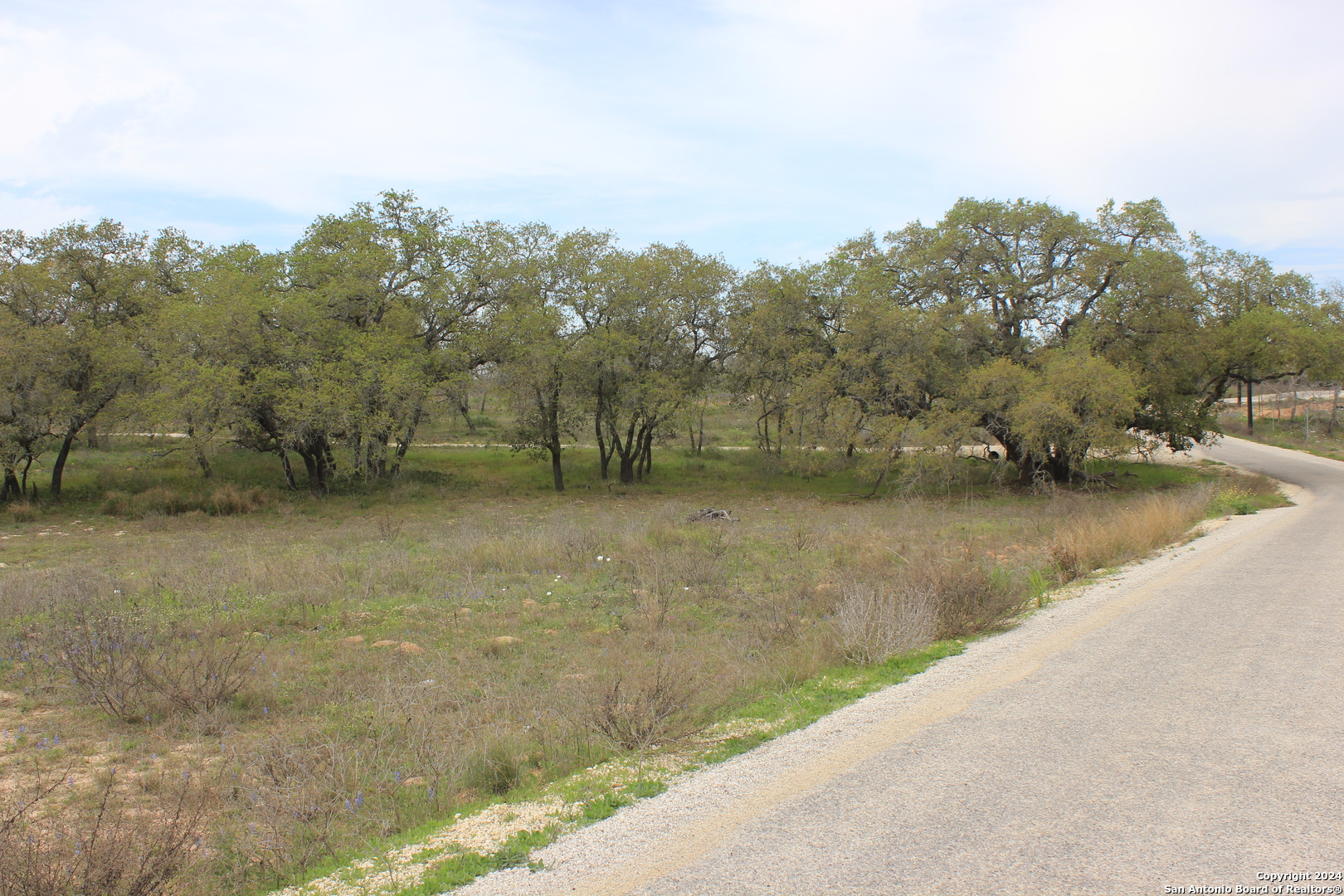 818 Encino Way Natalia, TX 78059 - Photo 6 of 23