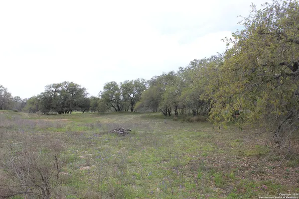 $249,000 | 818 Encino Way, Natalia, TX 78059