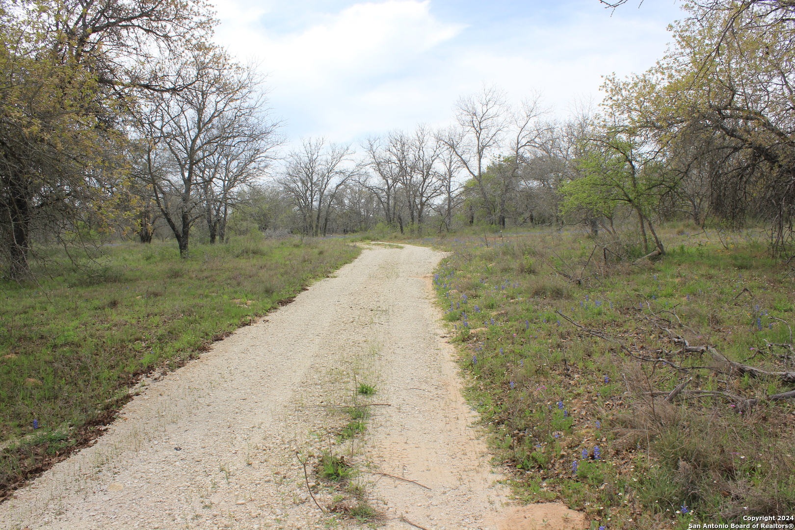 818 Encino Way Natalia, TX 78059 - Photo 9 of 23