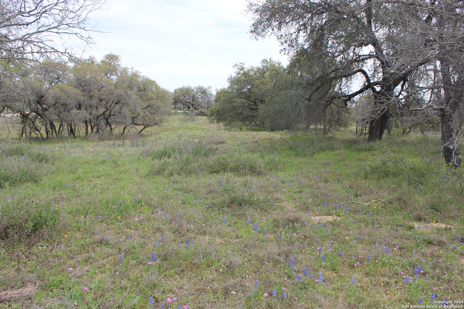 818 Encino Way Natalia, TX 78059 - Photo 10 of 23