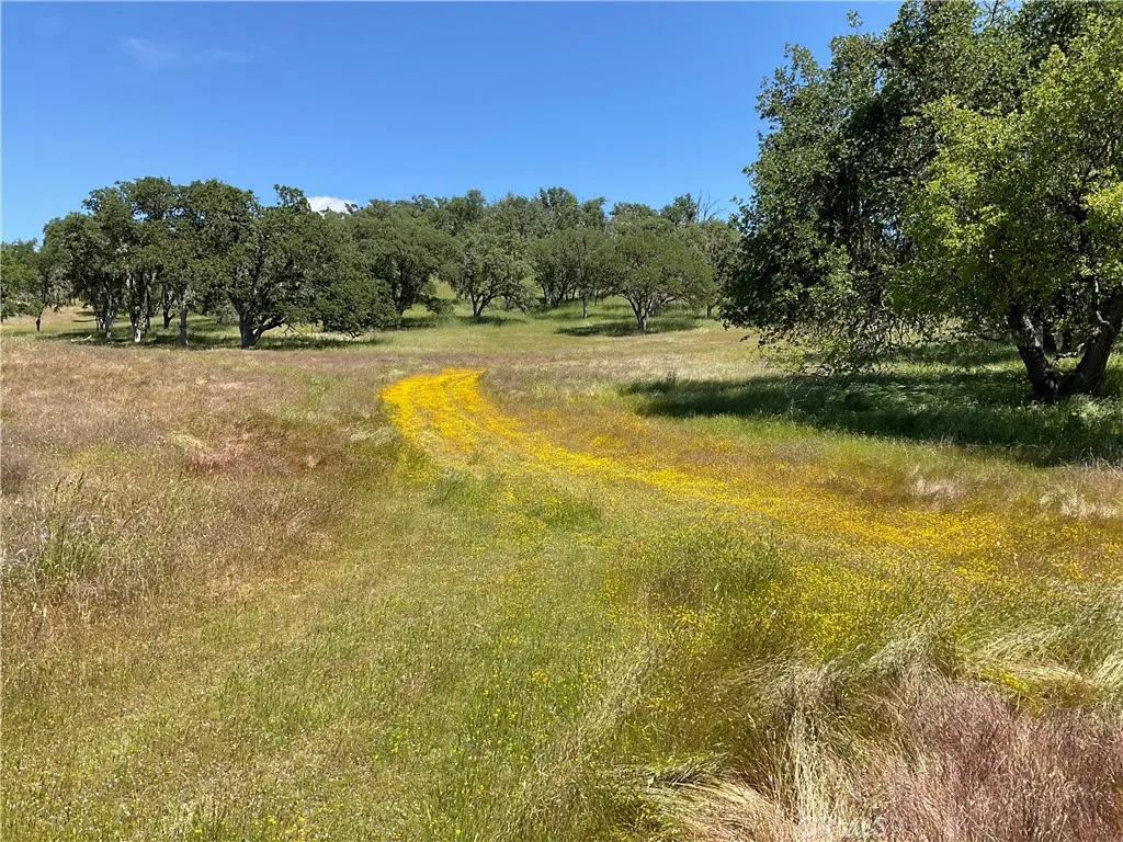 2 Interlake Road Bradley, CA 93426 - Photo 12 of 20 a view of a lake view