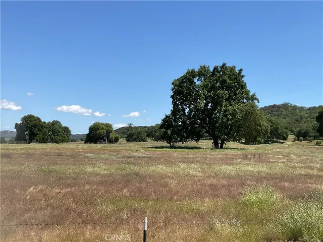 a big yard with trees in the background