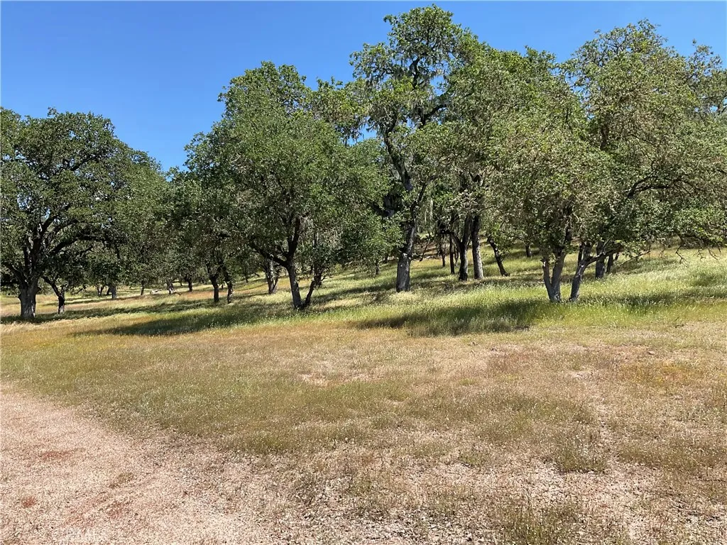 2 Interlake Road Bradley, CA 93426 - Photo 15 of 20 a view of a tree in a yard