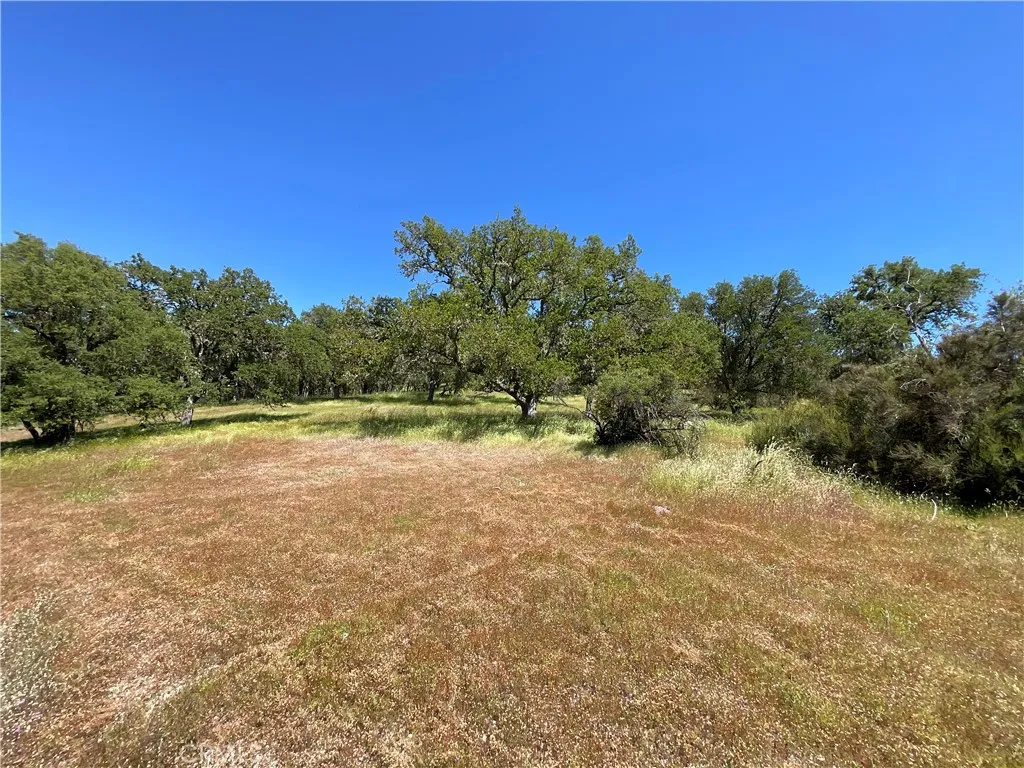 2 Interlake Road Bradley, CA 93426 - Photo 17 of 20 a view of a field with trees in the background