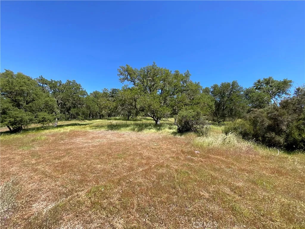 2 Interlake Road Bradley, CA 93426 - Photo 17 of 20 a view of a field with trees in the background