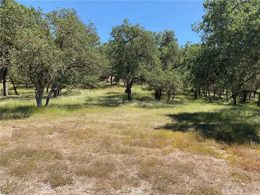 2 Interlake Road Bradley, CA 93426 - Photo 18 of 20 a view of a yard with a tree
