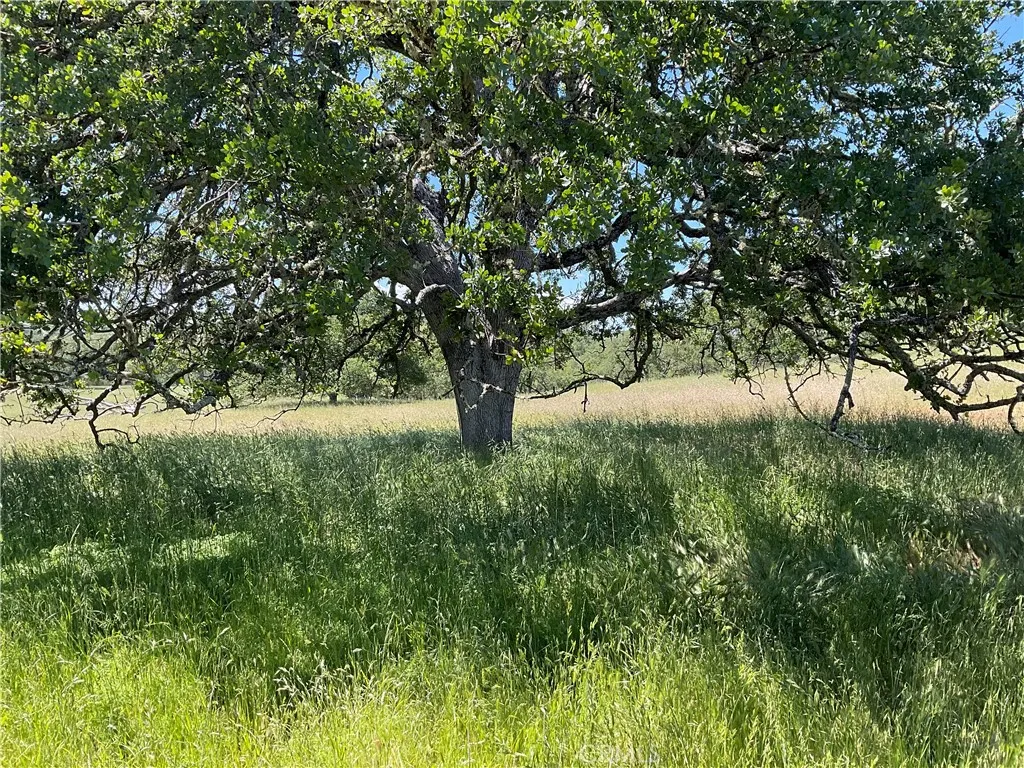 2 Interlake Road Bradley, CA 93426 - Photo 4 of 20 a view of backyard with green space