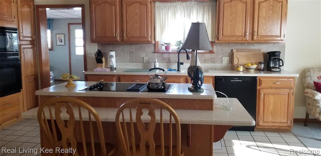 4419 Kilgore Road Croswell, MI 48422 - Photo 13 of 40
