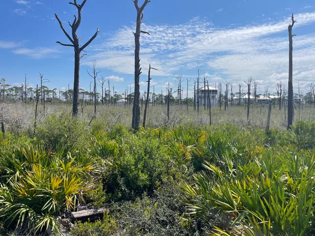 a view of lake with boats
