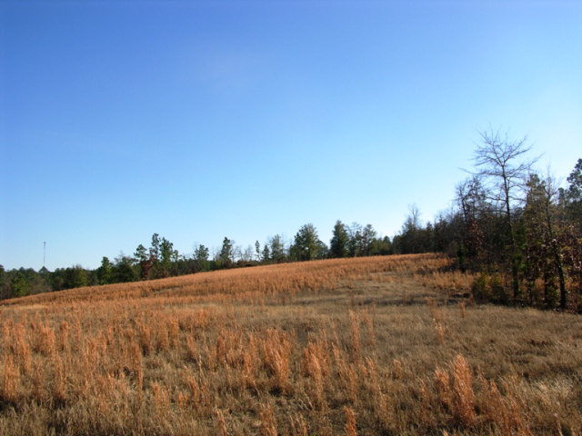 Lot14 Riding Ridge Court Aiken, SC 29801 - Photo 1 of 1