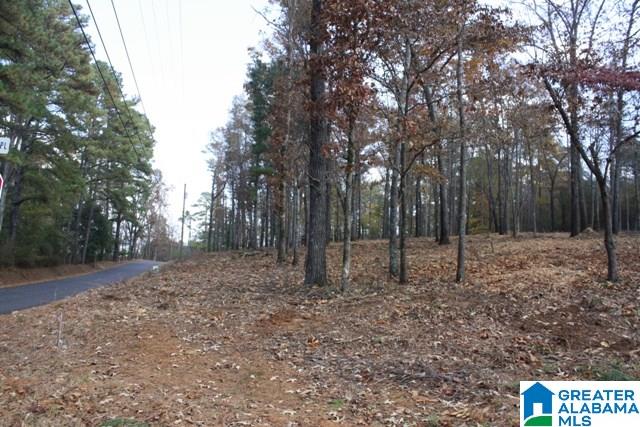 Peyton Place, Unit 3 Weaver, AL 36277 - Photo 34 of 40