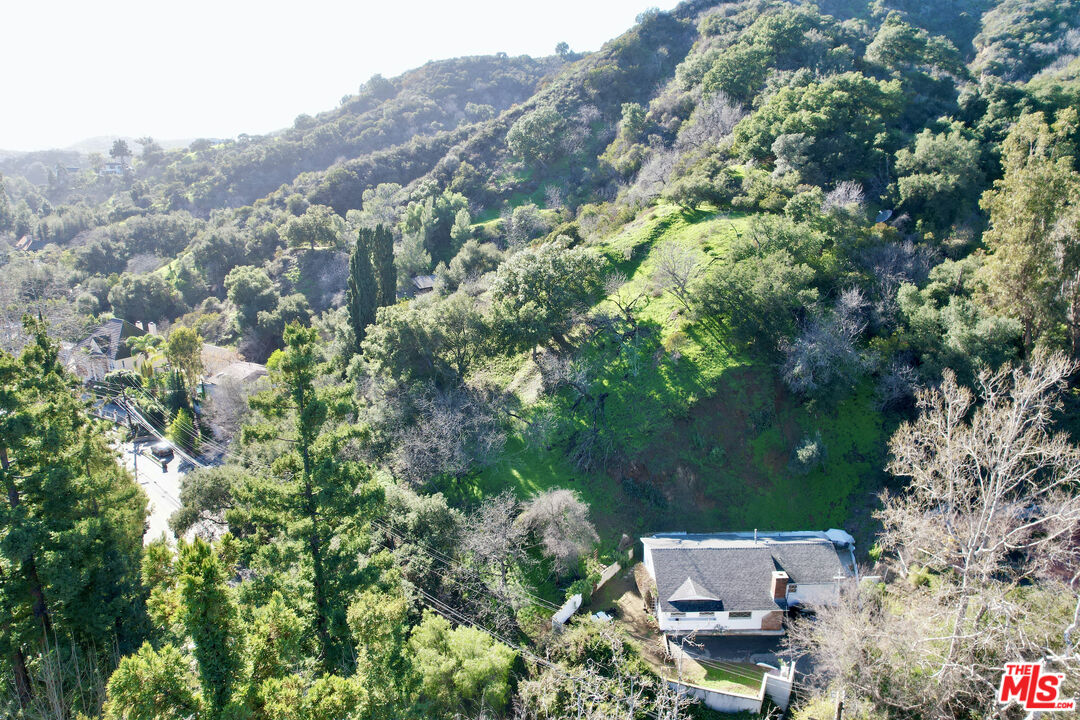 2485 Benedict Canyon Drive Beverly Hills, CA 90210 - Photo 5 of 33