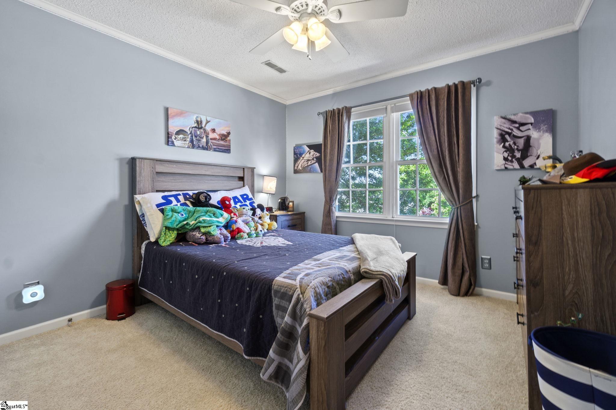 3 Meadow Ridge Drive Greer, SC 29651 - Photo 17 of 25 Gallery Image 17