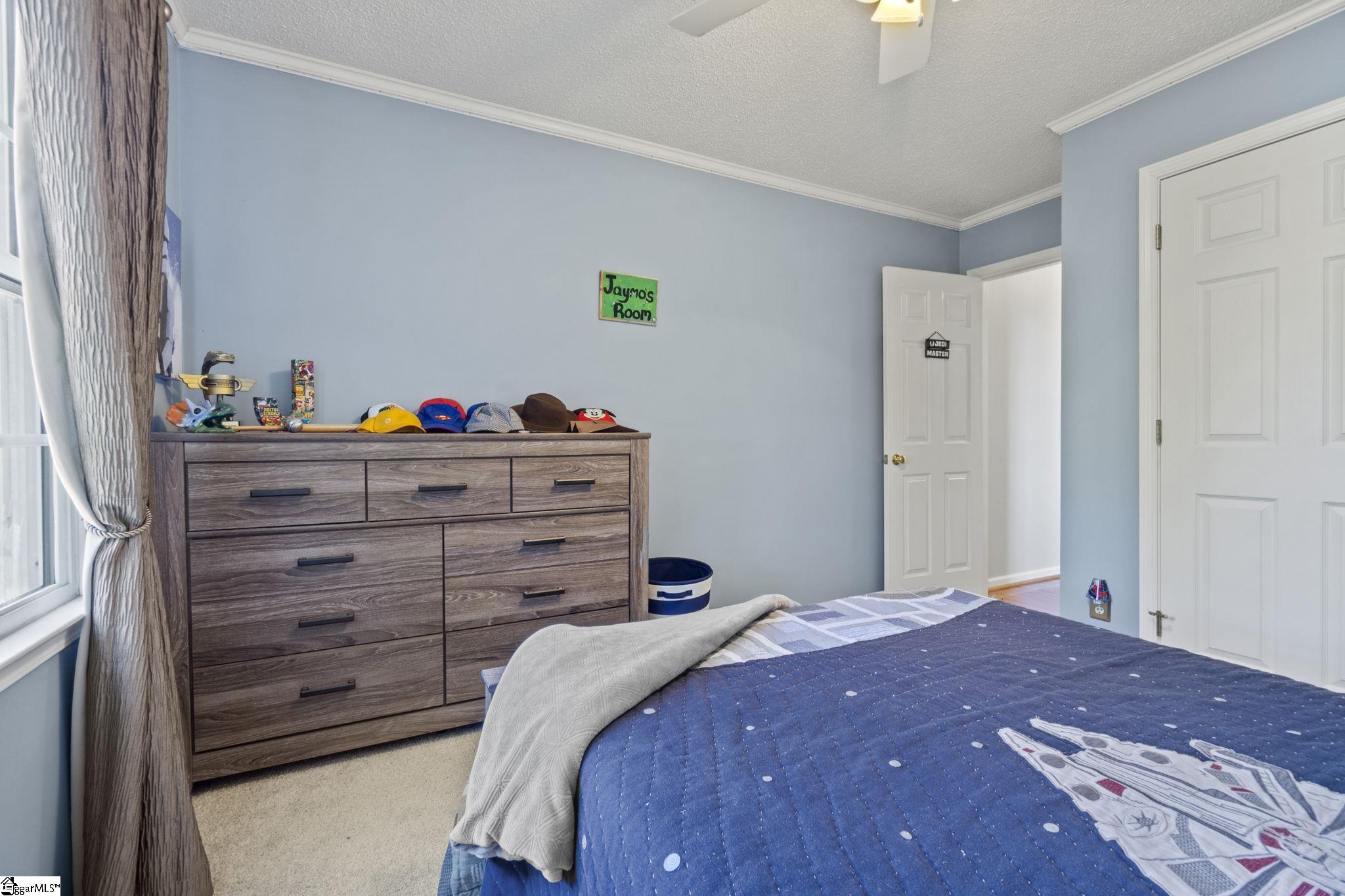 3 Meadow Ridge Drive Greer, SC 29651 - Photo 18 of 25 Gallery Image 18
