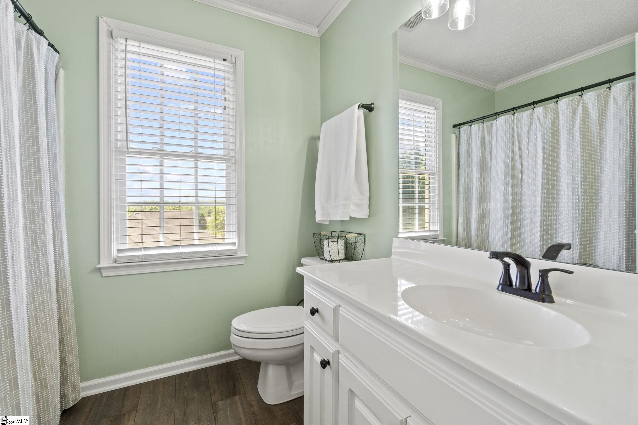 3 Meadow Ridge Drive Greer, SC 29651 - Photo 19 of 25 Gallery Image 19