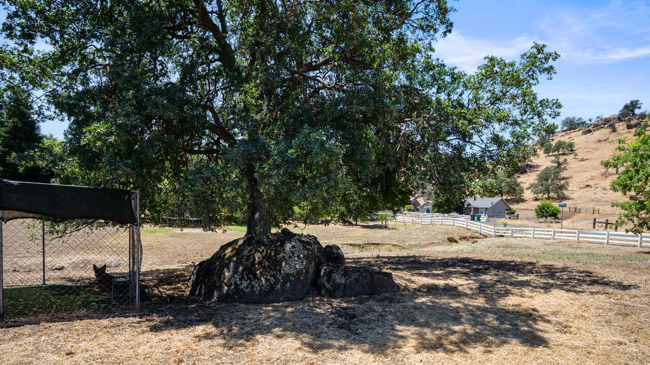 16657 Thomas Drive Springville, CA 93265 - Photo 30 of 37 a view of a backyard of the house