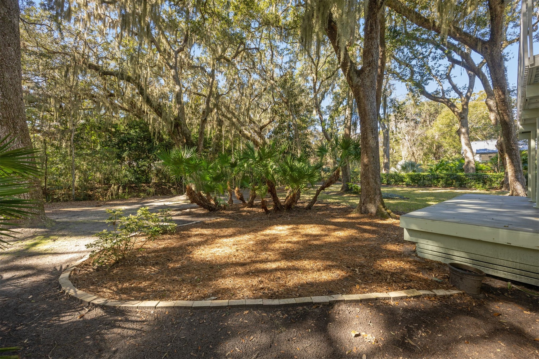 22 Beachwood Road Fernandina Beach, FL 32034 - Photo 75 of 100 a view of a yard with a tree