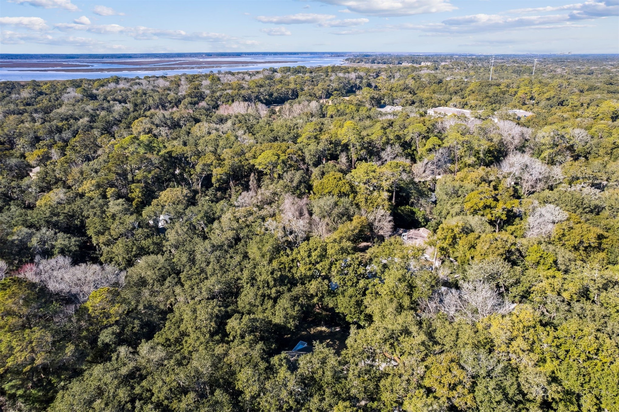 22 Beachwood Road Fernandina Beach, FL 32034 - Photo 87 of 100