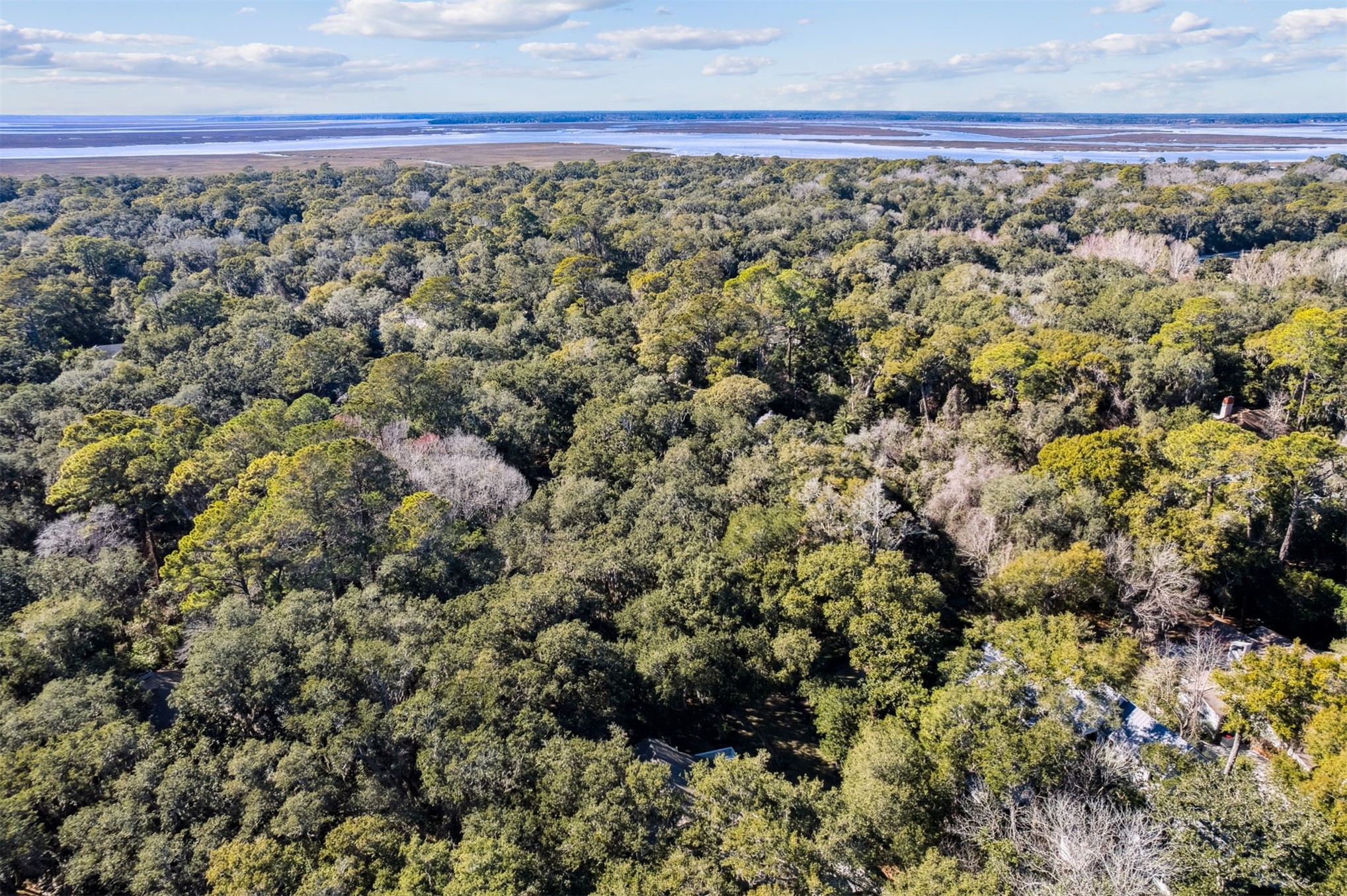 22 Beachwood Road Fernandina Beach, FL 32034 - Photo 89 of 100 a view of a room with an outdoor space