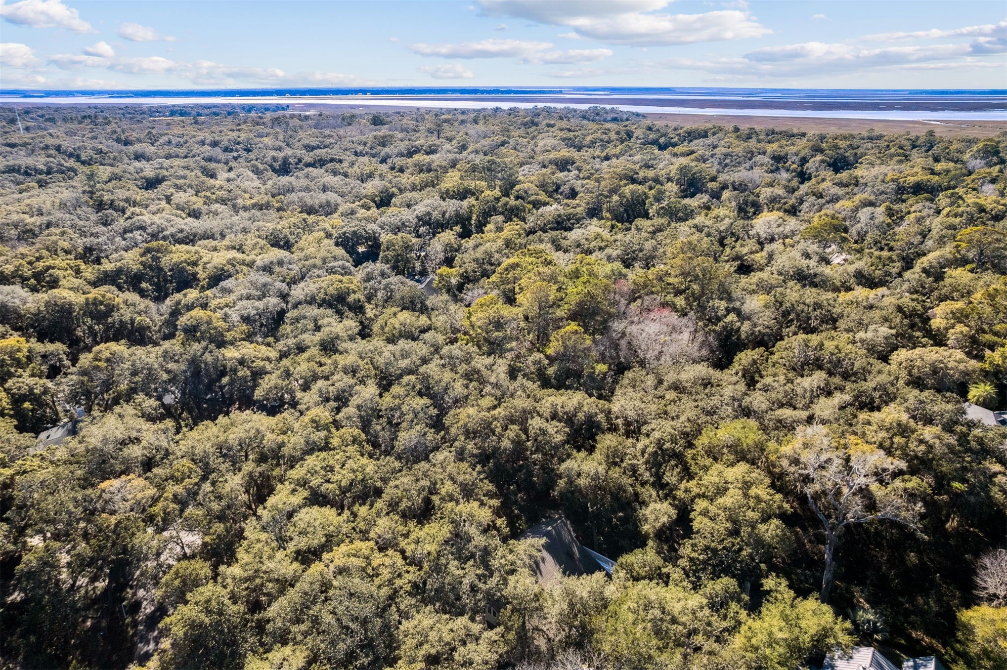 22 Beachwood Road Fernandina Beach, FL 32034 - Photo 91 of 100