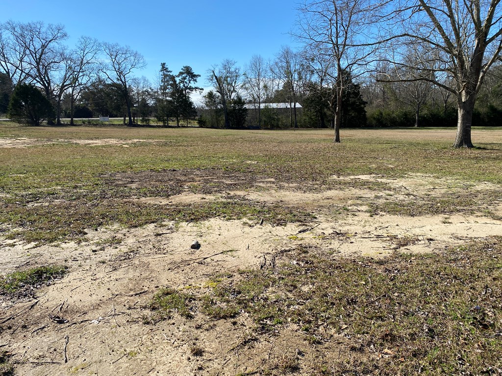 95 Williamson Way Dothan, AL 36301 - Photo 3 of 4