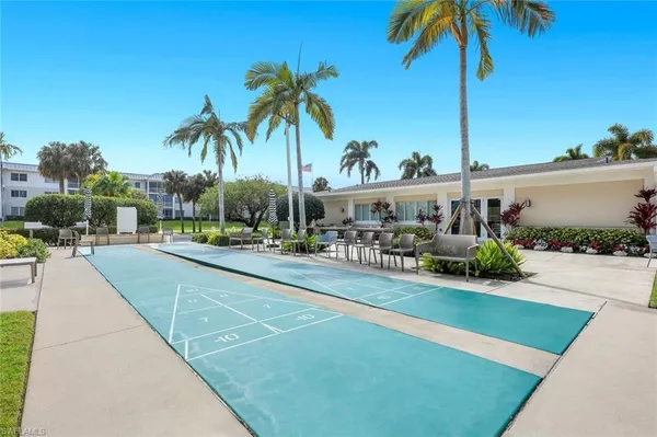 a view of a yard and potted plants