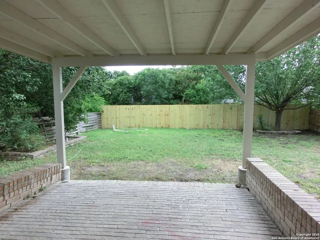 a view of a backyard with a large tree