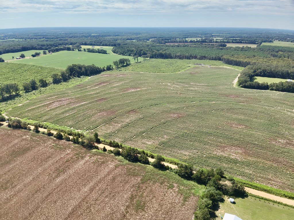 73-acres Shiver Road Daleville, AL 36322 - Photo 14 of 14