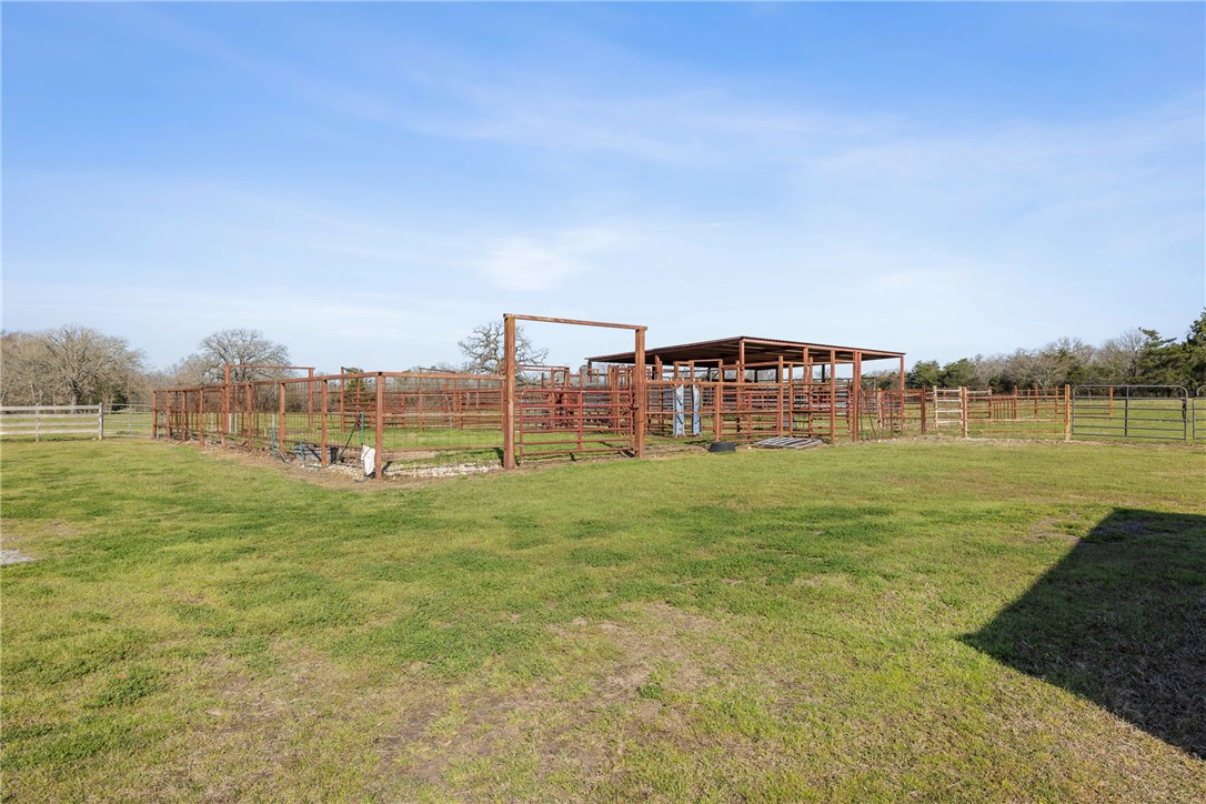 128 Duke Road Bedias, TX 77831 - Photo 37 of 49 a view of a big yard with large trees